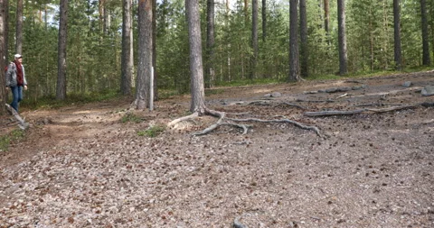 Hiker with backpack on a footpath Video stock 100819481