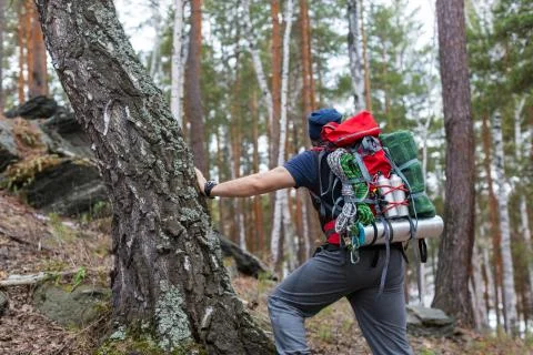 Hiker with a backpack in the forest. Back view. Stock Photos