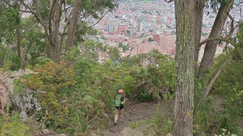 Hiker With Backpack On Forest Trail Overlooking City Skyline And Scenic Urb.. Stock Footage 347755725