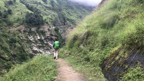 Hiker with backpack hikes on a path through rainforest with fog and clouds Video stock 122242400