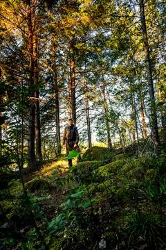 Hiker with backpack on mossy forest path in morning light Stock Photos
