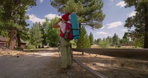 Hiker with Backpack Navigates Forest Pathway 스톡 동영상 323353987