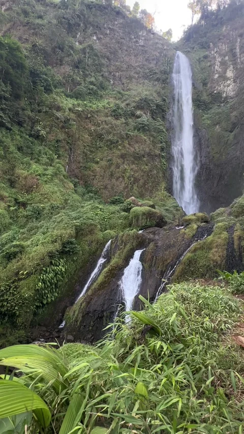 Hiker with Backpack Observing Tall Waterfall in Lush Tropical Forest, Vertical P Video stock 323908106
