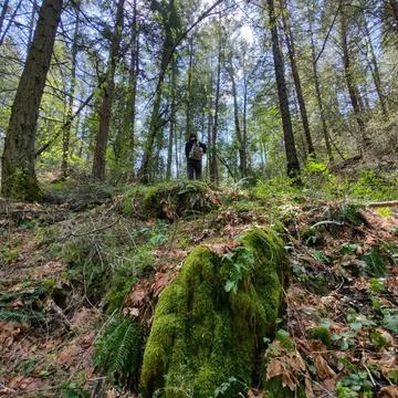 Hiker with Backpack Stock Photos