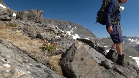 Hiker with backpack runs down steep terrain in Norway Stock Footage 156794024