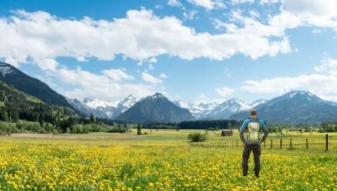 Hiker with Backpack standing on Hawkbit Flower meadow and View to panoramic Snow Stock Photos