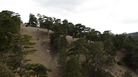 Hiker with a backpack walking along a mountain trail Video stock 63341399