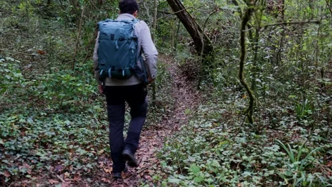 Hiker with a backpack walking along a path in the forest, seen from behind Stock Footage 289007573
