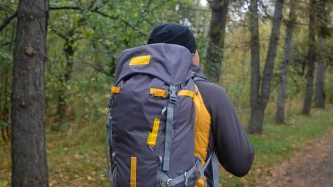 Hiker with backpack walking in forest. autumn trekking Stock-Footage 128997332