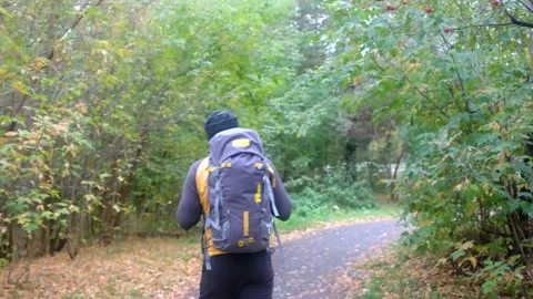 Hiker with backpack walking in forest. autumn trekking Stock Footage 148078199