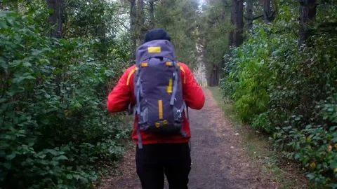 Hiker with backpack walking in forest. autumn trekking Stock Footage 155872353