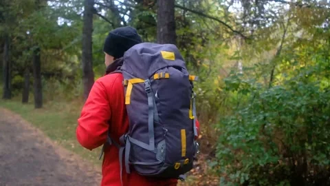 Hiker with backpack walking in forest. autumn trekking Stock Footage 159573199