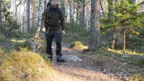 Hiker with backpack walking on forest trail in sunny woodland 库存影片 333690847