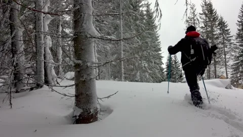 Hiker With Backpack Walking In Mountain Winter Forest, Covered With Deep Snow Video stock 170304366