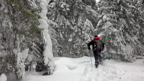 Hiker With Backpack Walking In Mountain Winter Forest, Covered With Deep Snow 스톡 동영상 220736563