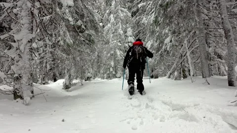Hiker With Backpack Walking In Mountain Stock Video Pond5