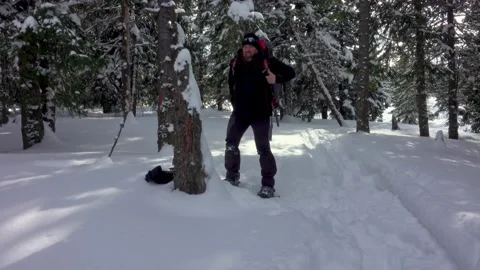 Hiker With Backpack Walking In Mountain Winter Forest, Covered With Deep Snow Stock Footage 228852684