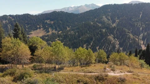 Hiker with backpack walking in the mountains Vidéo 141197968