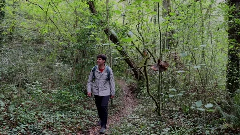 Hiker with a backpack walking through a lush forest enjoying nature Stock Footage 289007576