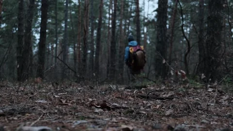 A hiker with a backpack walks through a dense forest, stepping over fallen Stock Footage 302888816