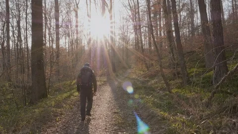 Hiker Backpacker on trail in Forest Sunset Sunstar Stock Footage 100380763