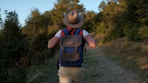 Hiker backpacking in hat walking  through the forest Stock Footage 82014329