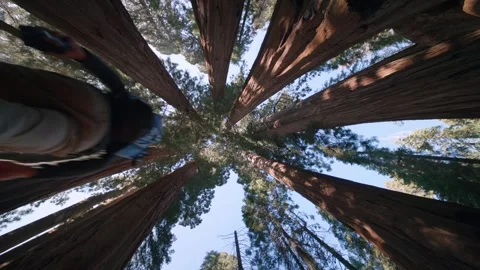 Hiker Beneath The Giants Stock Footage 342735075