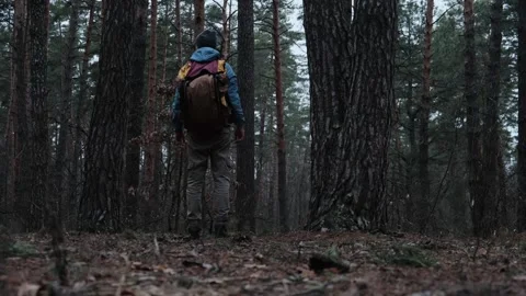 A hiker with a big backpack walks through a thick forest with tall trees, pauses Stock Footage 302568691