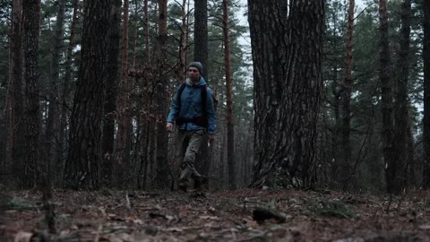 A hiker with a big backpack walks through a thick forest, surrounded by tall Stock Footage 302725805