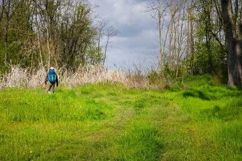 Hiker With Blue Backpack Walking Through Green Meadow Toward Forest On Over.. Stock Photos