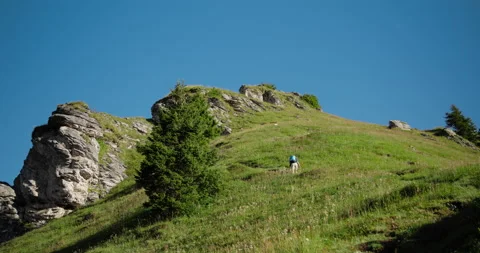 Hiker clambers / scrambles up steep mountain covered with green grass Stock Footage 169902671