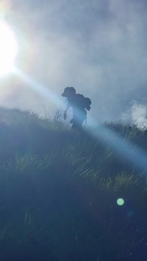 Hiker climbing grassy hill under bright sun lens flare Stock Footage 344968888