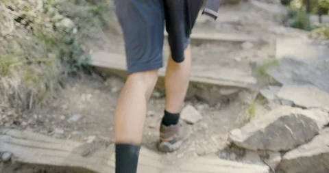 Hiker climbing the steps on the forest trail Stock Footage 145280942