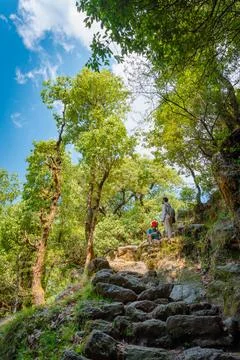 Hiker climbing a stone path through lush forests Stock Photos