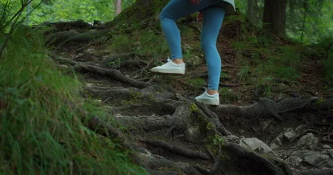 Hiker climbs up a path in the forest leading to a waterfall. Rear view of girl Stock Footage 252525039