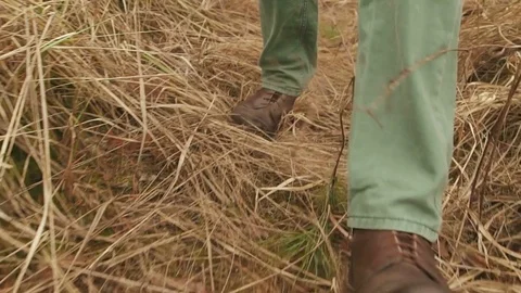 Hiker in close-up slow motion leg shot walks uphill in the forest Stock Footage 74130157