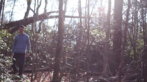 Hiker coming down trail with sun flare in the woods Stock Footage 63885403