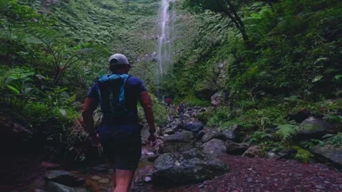 A hiker discovering a towering hidden waterfall deep in the tropical wilderness. Stock Footage 327885057