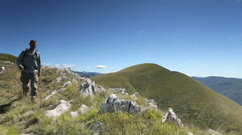 Hiker with dog on mountain path Stock Footage 45533051