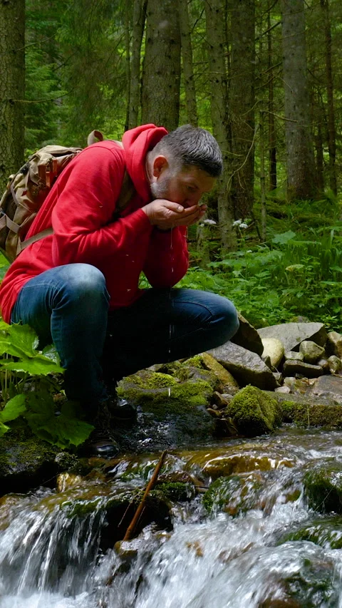Hiker drinking water from mountain stream in forest wilderness Stock Footage 337028397