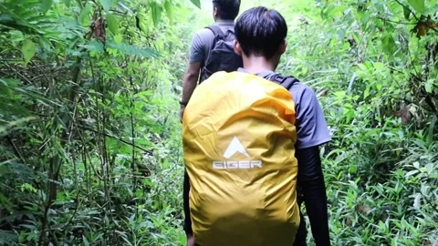 Hiker with Eiger Backpack Walking in Forest Stock Footage 318237764