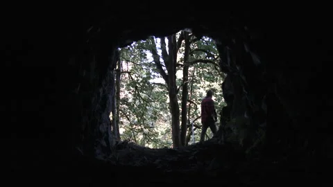 Hiker Exits Dark Cave And Walks Into Beautiful Forest Stock Footage 318044683