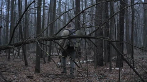 Hiker explores a dense forest during twilight hours in a tranquil setting Stock Footage 323799322