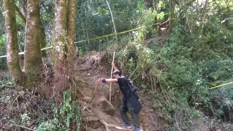A hiker exploring Dense Tropical Forest Among Trees and Vegetation Видео 344959429