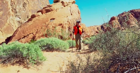 Hiker Exploring Desert Canyon Terrain on a Sunny Day Stock Footage 323798987