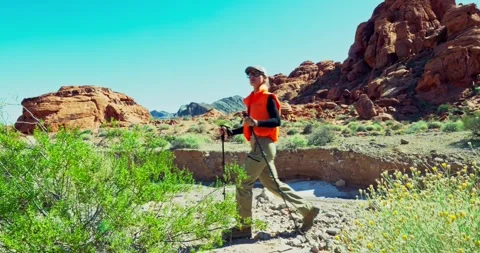 Hiker Exploring Desert Landscape with Camera Gear 库存影片 323795113