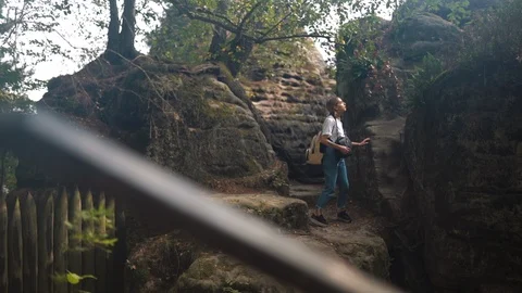 Hiker exploring the forest and slopes Video stock 123944804