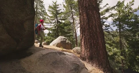Hiker Exploring Forest Trail Amidst Tall Pine Trees Video stock 323360075