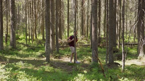 Hiker exploring nature in forest alone Stock Footage 134294163