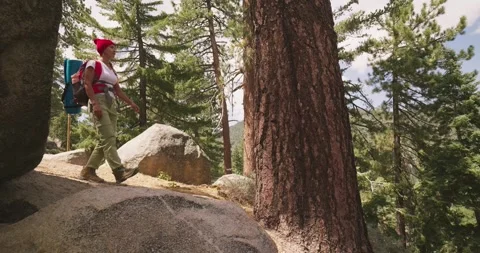 Hiker Exploring Rocky Trail in Forested Mountain Area Stock Footage 323359683